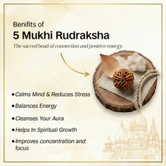 Shivom Natural Rudraksha Bracelet Set | Silver Plated