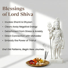 Shiva Rudraksha Pure Silver (चाँदी) Bracelet For Him